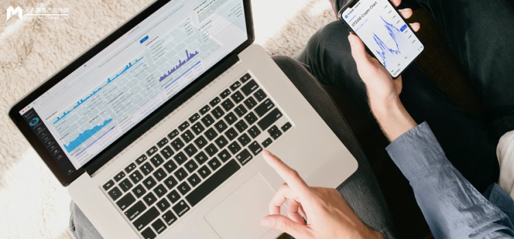 小红书最新动态和种草趋势