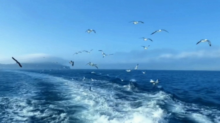 网名 | 小众微信昵称适合冬天使用